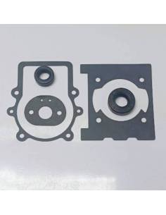 KIT Juntas Motor O/M...